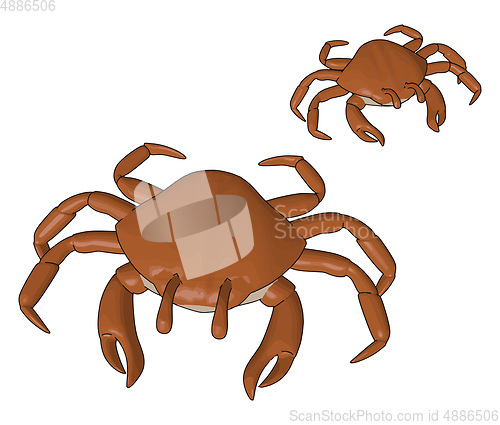Image of Lobster aquatic creature vector or color illustration