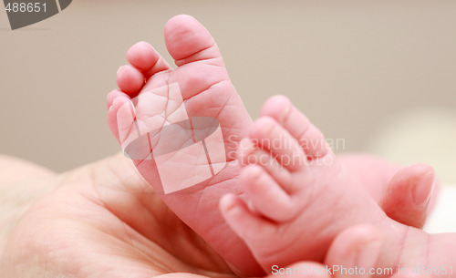 Image of Newborn