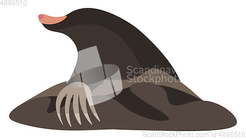 Image of Clipart of the mammal mole vector or color illustration