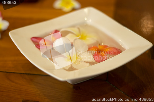 Image of flower petals in a bowl at a spa