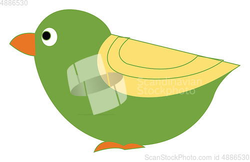 Image of A little green bird vector or color illustration