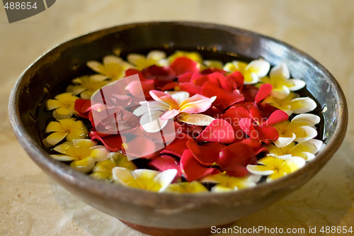 Image of flower petals in a bowl at a spa