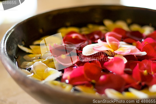 Image of flower petals in a bowl at a spa