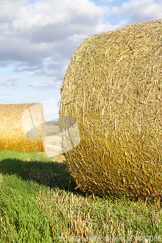 Image of Straw straw