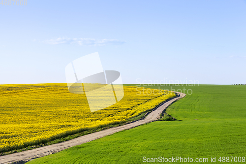 Image of spring landscape