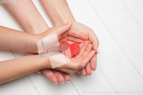 Image of Human hands holding, giving heart isolated on white wooden background