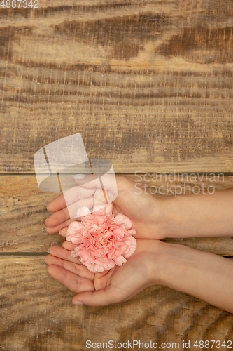 Image of Human hands holding tender summer flower together isolated on wooden background with copyspace