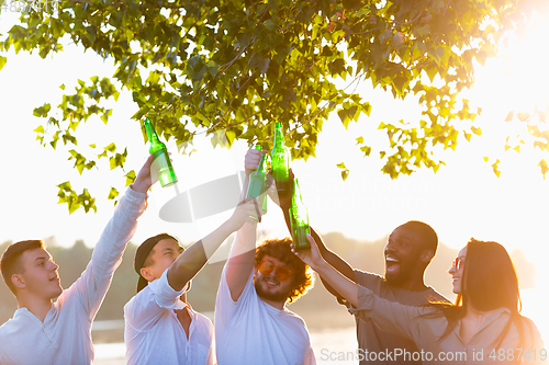 Image of Group of friends clinking beer bottles during picnic at the beach. Lifestyle, friendship, having fun, weekend and resting concept.