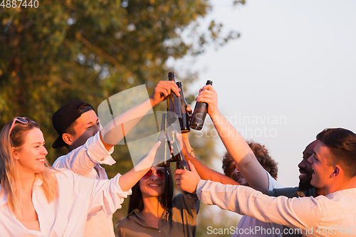 Image of Group of friends clinking beer glasses during picnic at the beach. Lifestyle, friendship, having fun, weekend and resting concept.