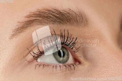 Image of Close up of face of beautiful caucasian young woman, focus on eyes