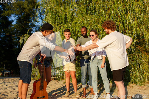 Image of Group of friends clinking beer glasses during picnic at the beach. Lifestyle, friendship, having fun, weekend and resting concept.