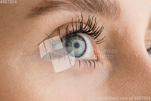 Image of Close up of face of beautiful caucasian young woman, focus on eyes