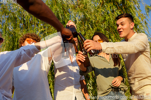 Image of Group of friends clinking beer glasses during picnic at the beach. Lifestyle, friendship, having fun, weekend and resting concept.