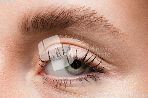 Image of Close up of face of beautiful caucasian young woman, focus on eyes