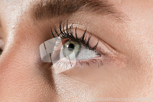 Image of Close up of face of beautiful caucasian young woman, focus on eyes