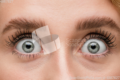 Image of Close up of face of beautiful caucasian young woman, focus on eyes