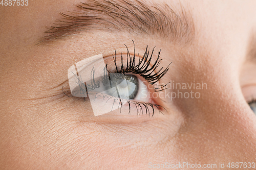 Image of Close up of face of beautiful caucasian young woman, focus on eyes