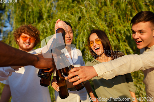 Image of Group of friends clinking beer glasses during picnic at the beach. Lifestyle, friendship, having fun, weekend and resting concept.