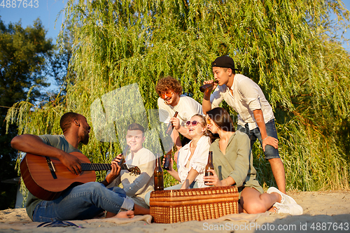 Image of Group of friends clinking beer glasses during picnic at the beach. Lifestyle, friendship, having fun, weekend and resting concept.