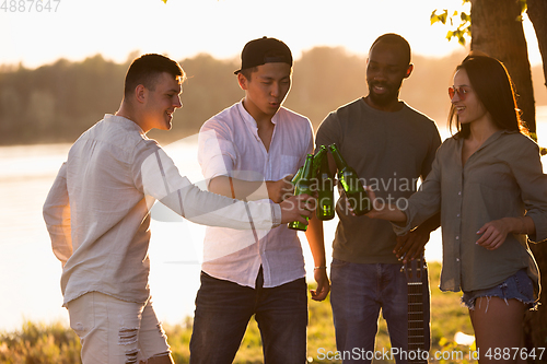 Image of Group of friends clinking beer glasses during picnic at the beach. Lifestyle, friendship, having fun, weekend and resting concept.