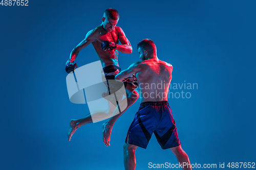 Image of MMA. Two professional fighters punching or boxing isolated on blue studio background in neon