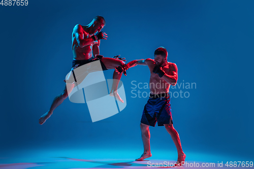 Image of MMA. Two professional fighters punching or boxing isolated on blue studio background in neon