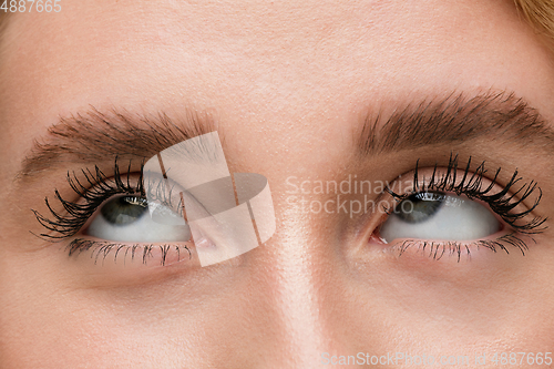 Image of Close up of face of beautiful caucasian young woman, focus on eyes