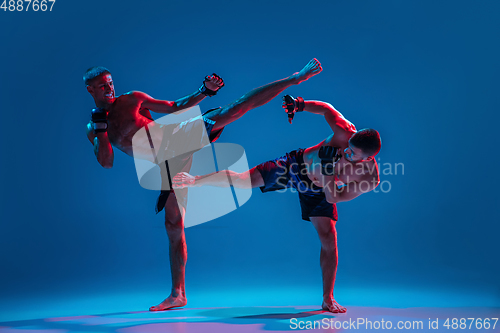 Image of MMA. Two professional fighters punching or boxing isolated on blue studio background in neon