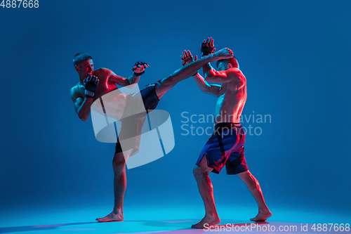 Image of MMA. Two professional fighters punching or boxing isolated on blue studio background in neon