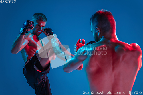 Image of MMA. Two professional fighters punching or boxing isolated on blue studio background in neon