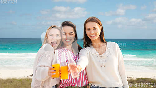 Image of young women toasting non alcoholic drinks on beach