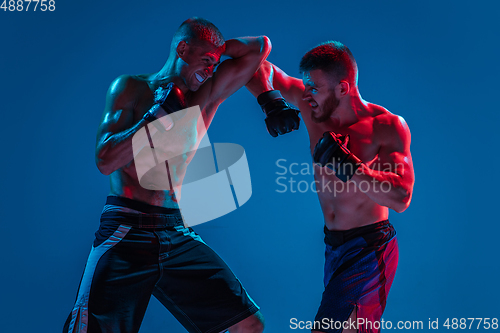 Image of MMA. Two professional fighters punching or boxing isolated on blue studio background in neon