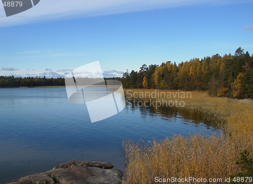 Image of View over shore with reed