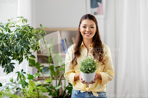 Image of happy asian woman with flower in pot at home