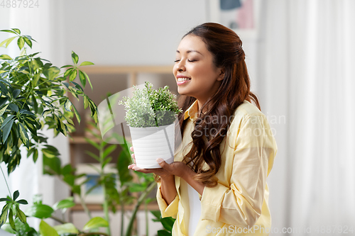 Image of happy asian woman with flower in pot at home