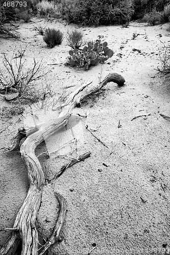 Image of Path to Sand Dunes in Snow Canyon - Utah