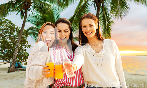 Image of young women toasting non alcoholic drinks on beach