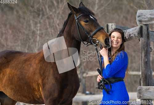 Image of The horse caresses and bites the hand of a young beautiful girl