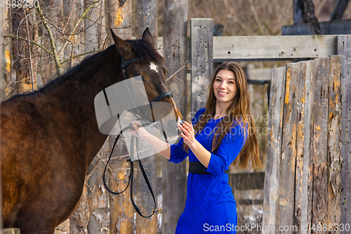 Image of Portrait of a beautiful girl in a blue dress with a horse against the background of an old wooden fence