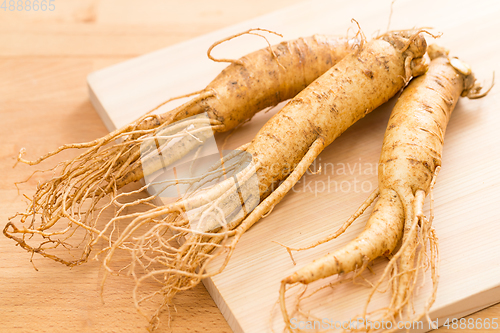 Image of Korean fresh ginseng on wood background