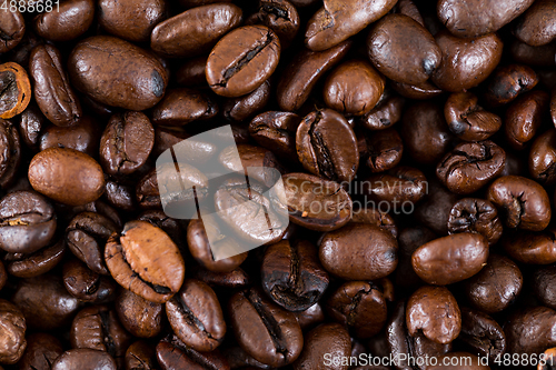 Image of Coffee bean wall