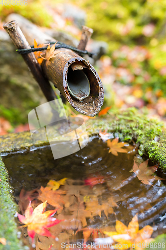 Image of Water bamboo foundation