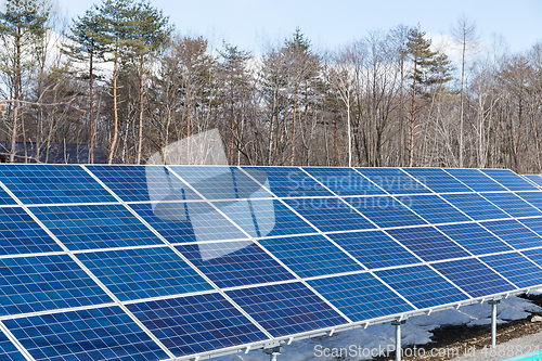 Image of Solar panel in forest