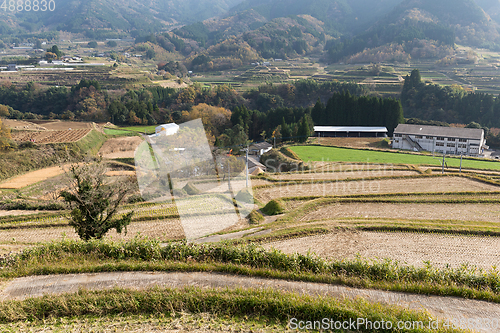 Image of Harvested field and mountain