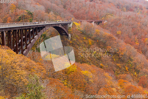 Image of Jogakura Ohashi Bridge in autumn 