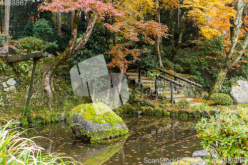 Image of Japanese park in autumn