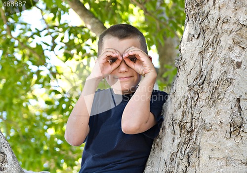 Image of boy in a tree