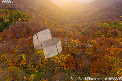 Image of Autumn landscape with sunlight