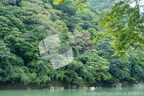 Image of Lake in arashiyama, Japan