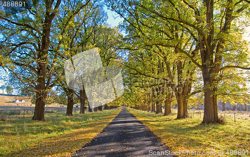 Image of autumn country road